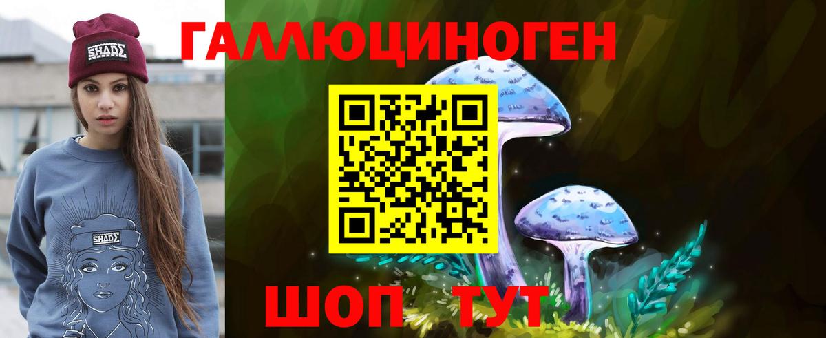 Псилоцибиновые грибы Psilocybine cubensis Каменск-Шахтинский